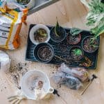 The Basics Of Building Your Own Greenhouse