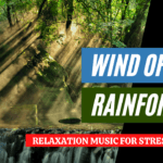 Wind of the Rainforest
