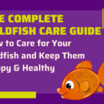 Goldfish Care Guide