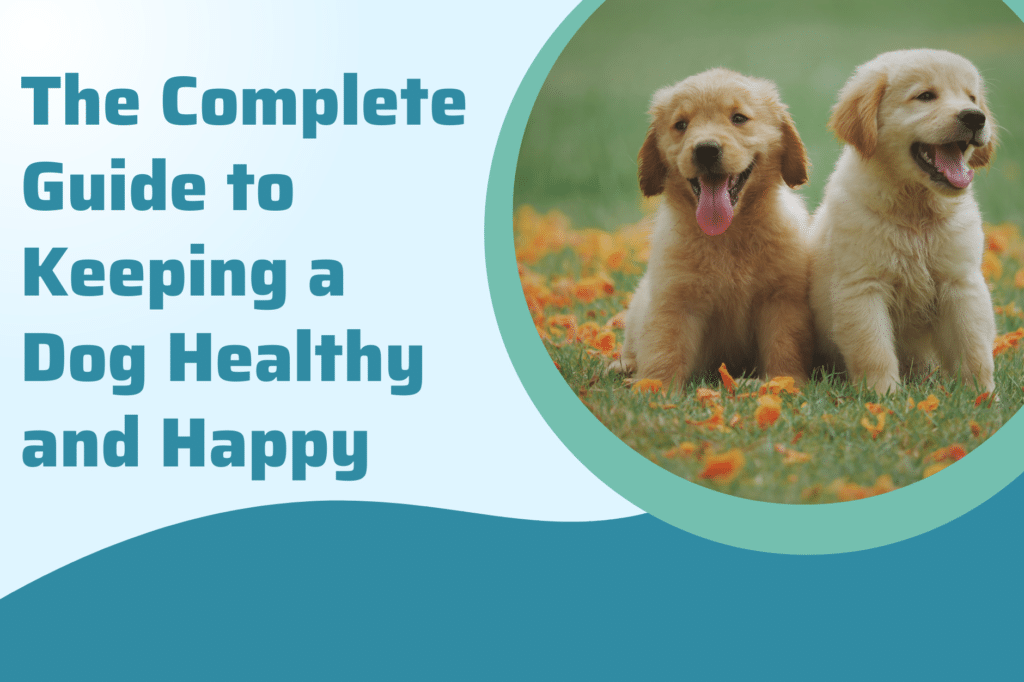 The Complete Guide to Keeping a Dog Healthy and Happy