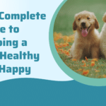 The Complete Guide to Keeping a Dog Healthy and Happy
